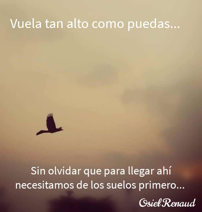 osielrenaud's tweet photo. Excelente día https://t.co/N3hXN6TIDC