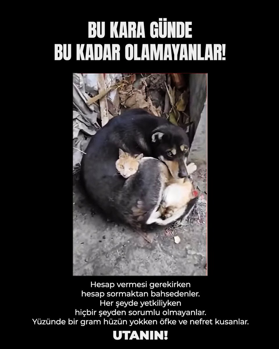 SİZ BUGÜNE KADAR NEYDEN SORUMLU OLDUNUZ EY BU ÜLKENİN BAŞINA GELEN HER TÜR KÖTÜLÜĞÜN VE FELAKETİN MÜSEBBİBİ OLANLAR. BİR TEK ŞEY VAR MI Kİ BİZİM SORUMLULUĞUMUZDU DEDİĞİNİZ?

#deprem #afet #içimizyanıyor