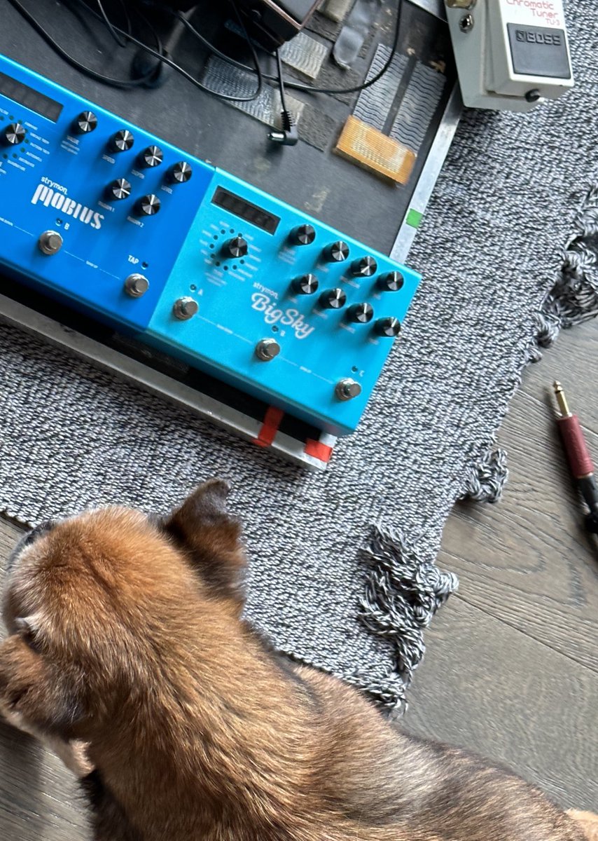 HowieKDay's tweet photo. Doing a major pedalboard upgrade, trying out some sweet sounding stuff from @strymon and comparing various loopers / mics / preamps / compressors. Henry is helping—making sure I don’t overdo the high frequencies. 🎧 https://t.co/mgRcnO9htw