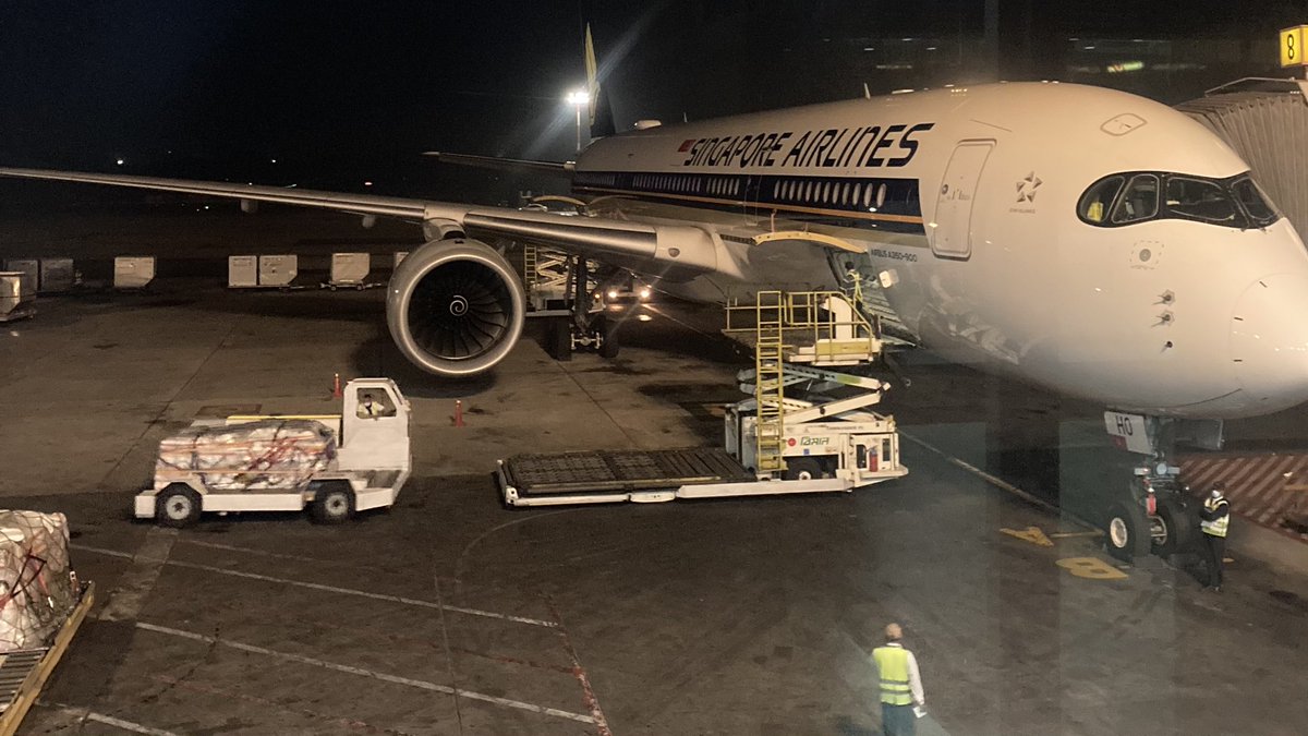 DarausMirza's tweet photo. Looking forward to flying @SingaporeAir to #Singspore shortly #Travel #fly https://t.co/a8lRRDxRSH