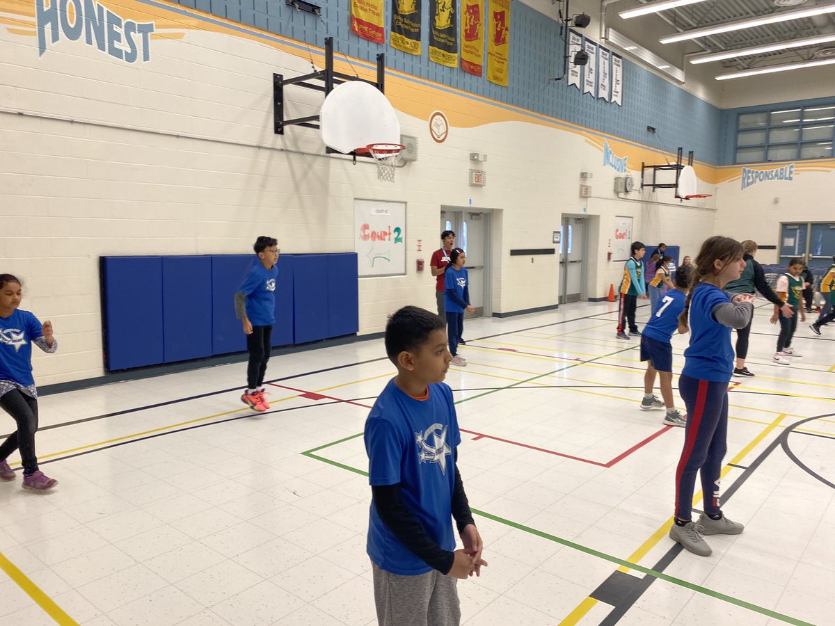Shelter Bay Phys.ed tweet media