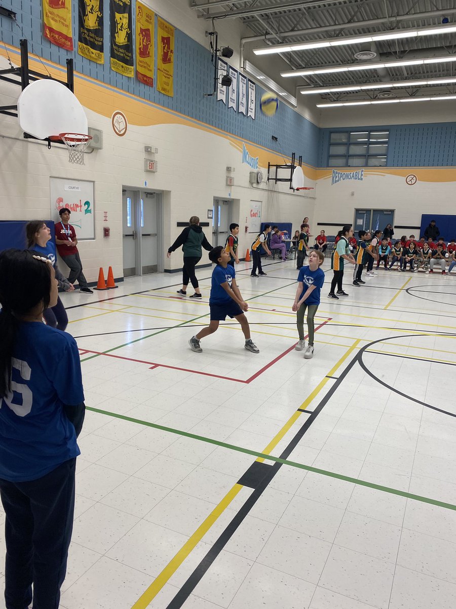 Shelter Bay Phys.ed tweet media