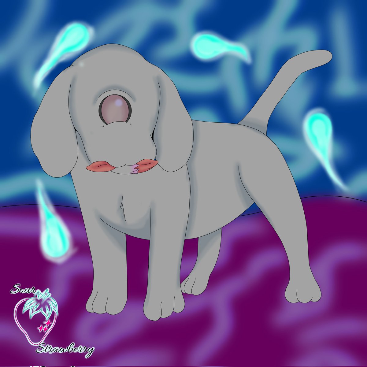JzSour's tweet photo. cyclops puppy https://t.co/xNOeI4xmhG