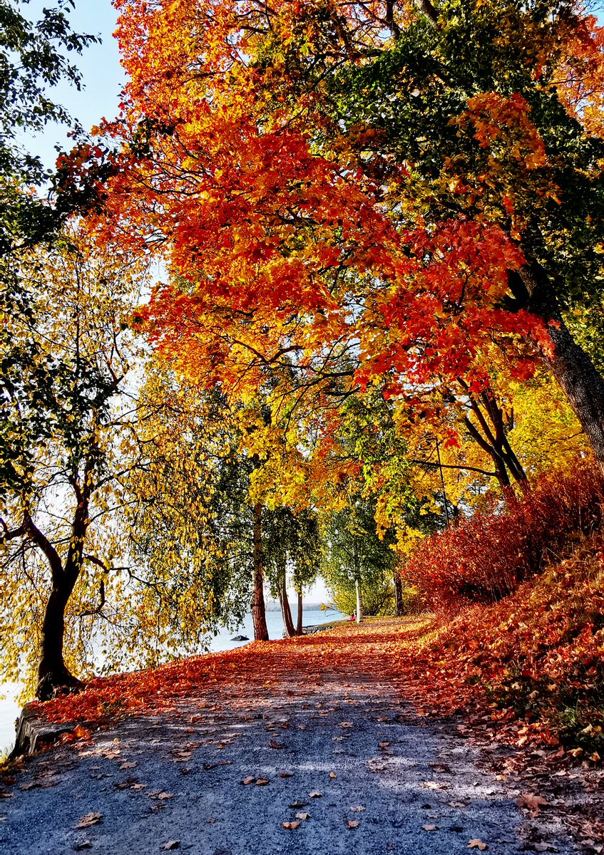 Hello everyone!!

Share your Colorful photos below.

Please retweet this post to get more exposure.

Thank you and have a great weekend!

#Photography #PhotographyIsArt #colorful