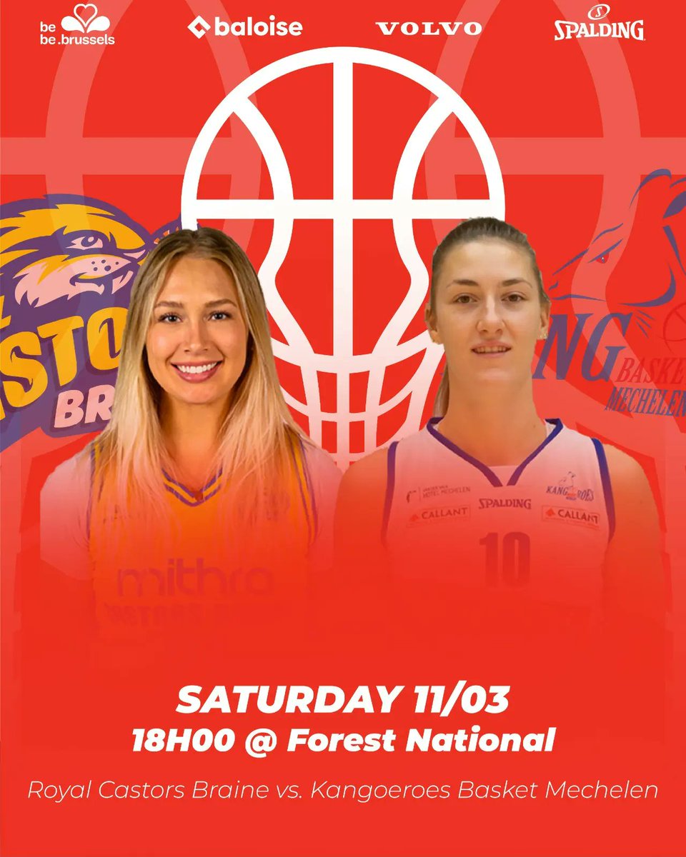 Lotto Basketball Cup tweet media