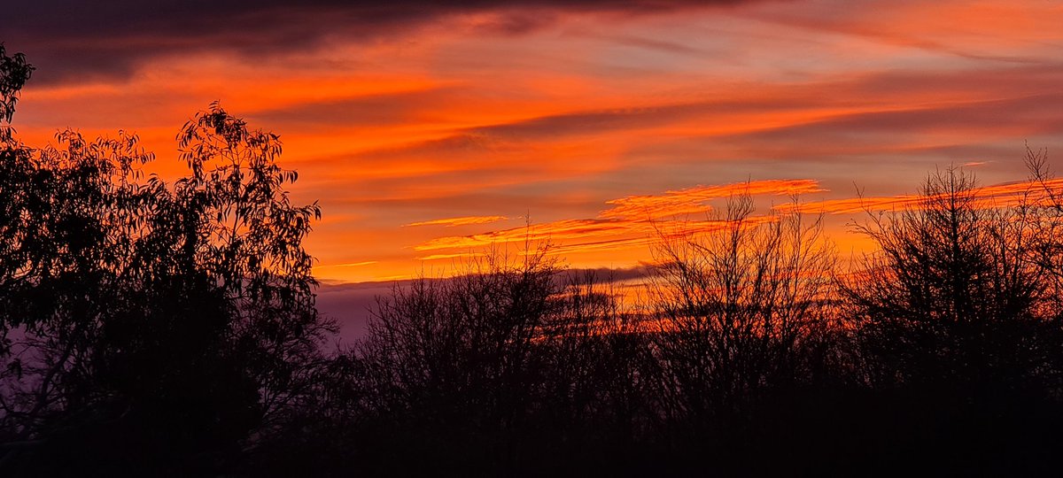 Sheena Murphy tweet media