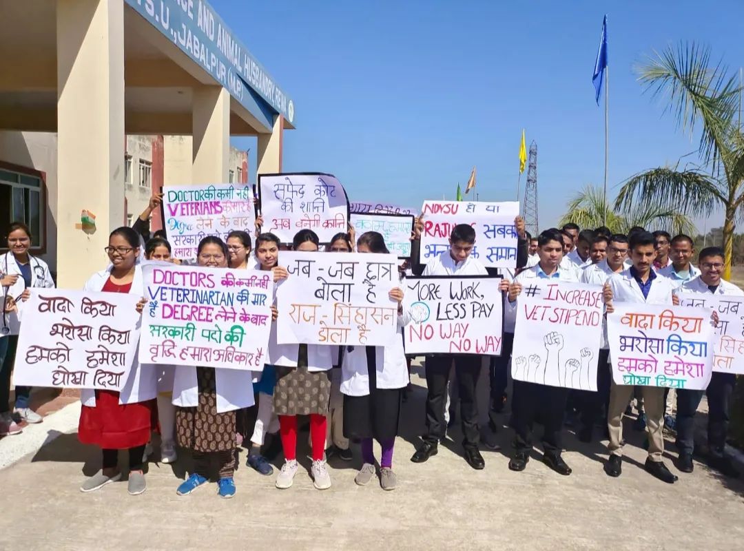 When one country one legislation.
One country one constitution.. than why not one country one veterinary INTERNSHIP allowance...
#increase_MP_Vet_Stipend
<a href="/aajtak/">AajTak</a>
<a href="/zeenews/">Zee News</a>
<a href="/OfficeofSSC/">Office of Shivraj</a>
<a href="/presidentVCI/">Dr. Umesh C Sharma</a>
<a href="/governorMP/">Governor of Madhya Pradesh</a>
<a href="/RewaCollector/">Collector Rewa</a>
<a href="/mpdahd/">Directorate of Animal Husbandry Madhya Pradesh</a>
<a href="/News18MP/">News18 MadhyaPradesh</a>