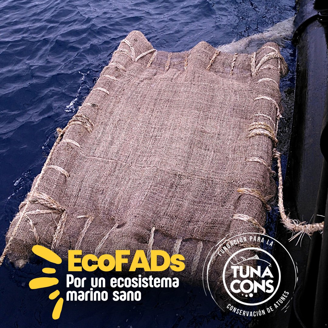 TUNACONSorg's tweet photo. Actualmente estamos trabajando arduamente en un prototipo nuevo y mejorado de plantados que nos ayude a alcanzar nuestros objetivos de sostenibilidad elaborándolos con materiales degradables. #EcoFADs https://t.co/gozil0rBQh