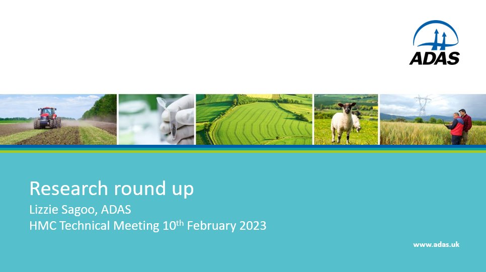 Lizzie Sagoo tweet media