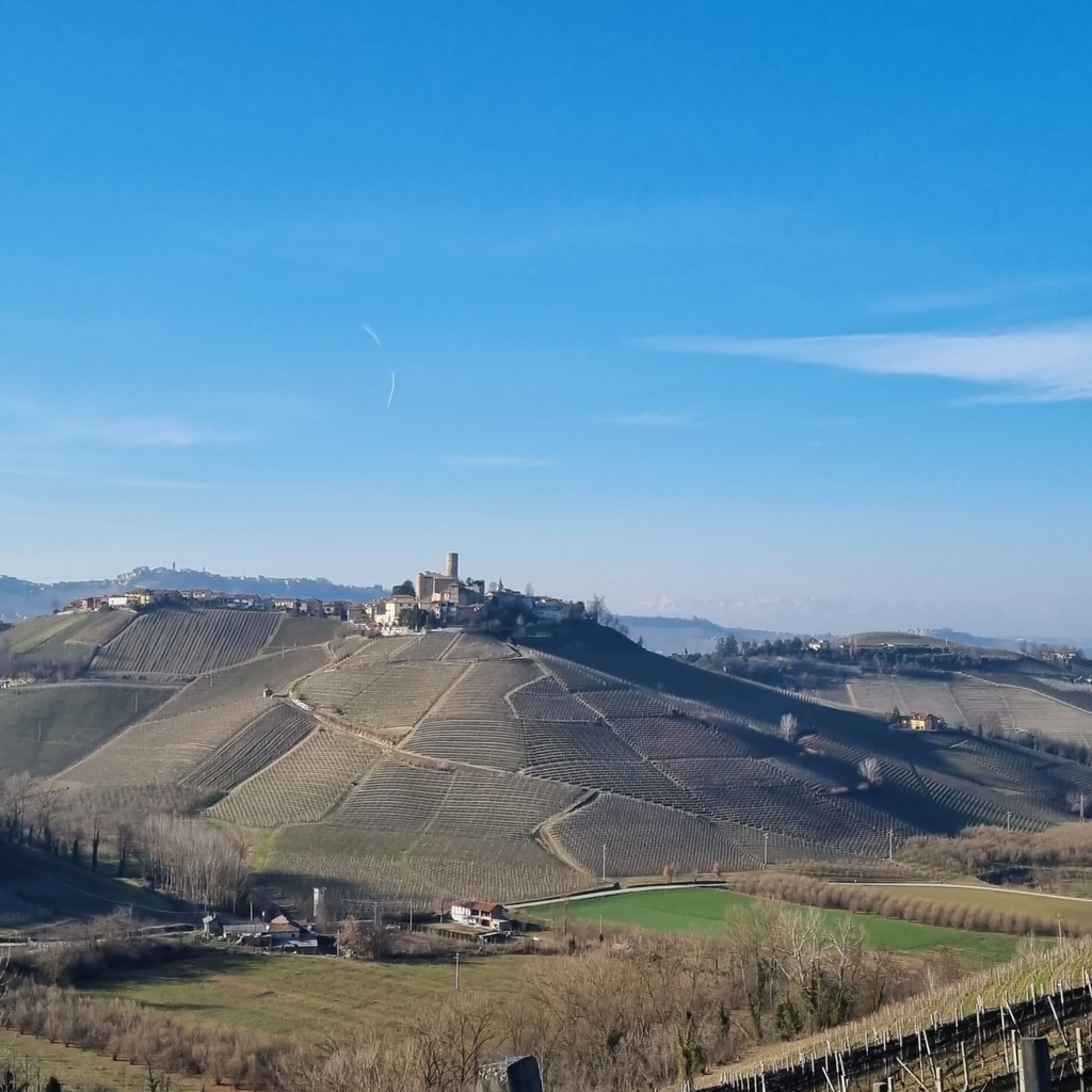 Davy's Wine Merchants tweet media