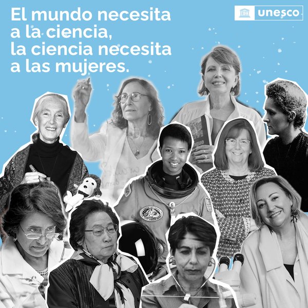#MujeresEnCiencia en el mundo, en cifras:
🟡 Son el 33% de los investigadores.
🟡 Ocupan < 20% de las posiciones de liderazgo.
🟡 Son un <4% de los #PremiosNobel en ciencias.
¡Para cambiar los números, hay que cambiar la forma de pensar!
➡️ on.unesco.org/2GzwHRP vía <a href="/UNESCO_es/">UNESCO en español 🏛️#Educación #Ciencia #Cultura</a>