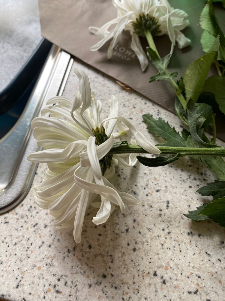 Condolence bouquet sent via M&amp;S. First delivery only fit for bin. Replacement arrived a day later in even worse condition. M&amp;S have reimbursed with an e-voucher but I’m left mortified that my dearest friend received these from me. M&amp;S change your suppliers! <a href="/marksandspencer/">M&S</a>