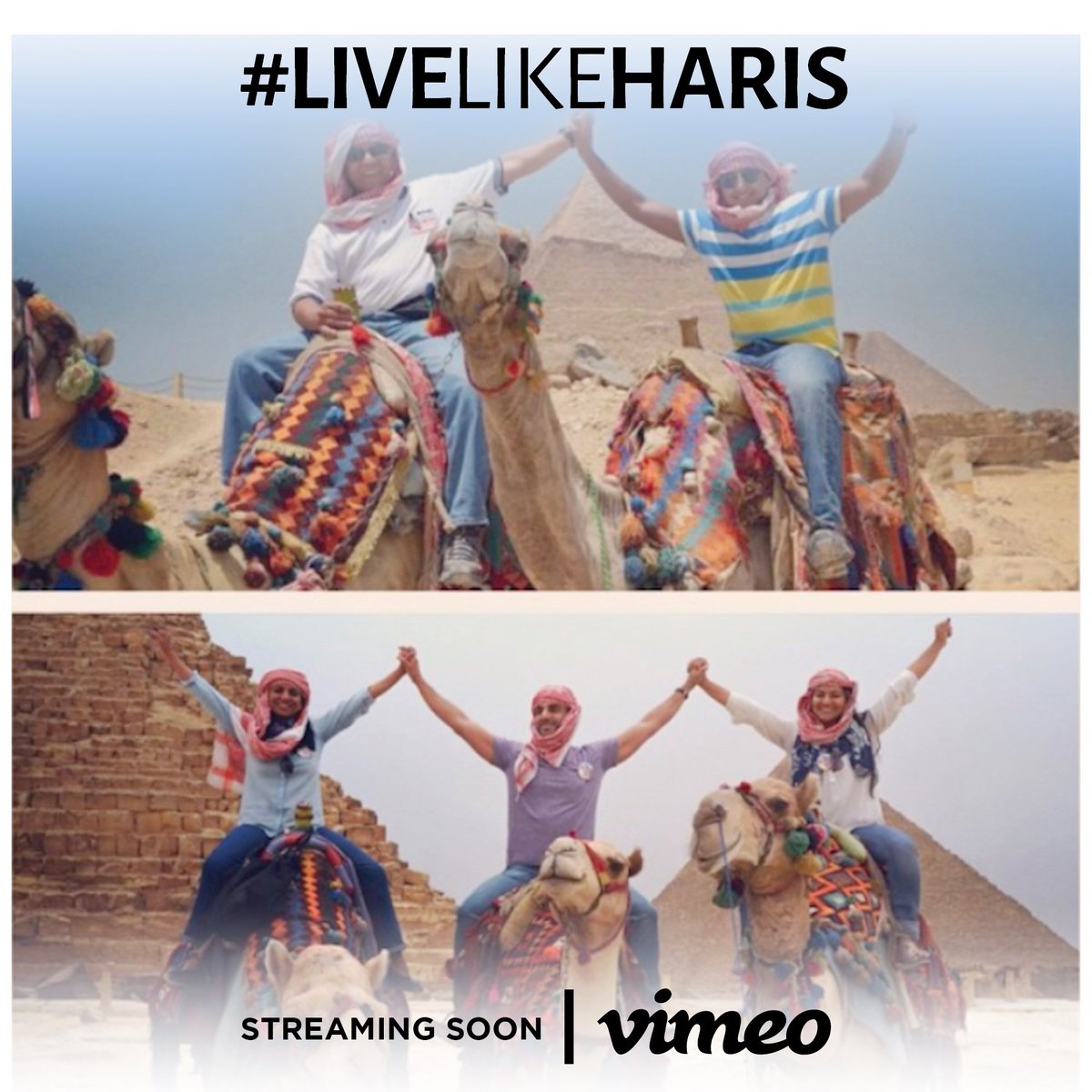 ArcDocs's tweet image. happening soon! #documentary #films #livelikeharis #womeninfilm #storytelling  #story