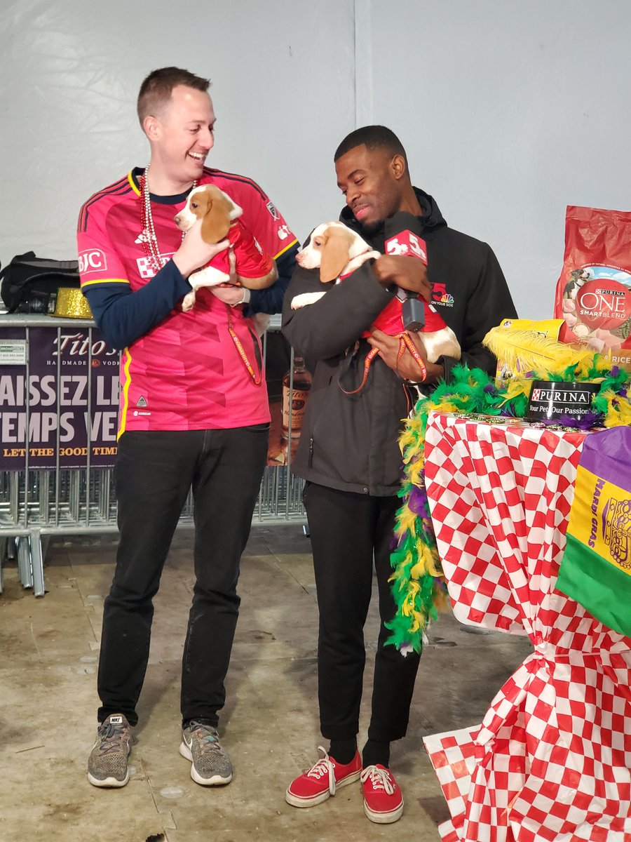 bessmccoy's tweet photo. Puppies Patrick and Kelce joined @STLMardiGras yesterday to help promote Sunday's Purina Pet Parade and Wiener Dog Derby. @MalikWilson_ from @ksdknews was so smitten with Patrick, that he adopted him from @OpenDoorAnimals 🐶😍 https://t.co/t9FVBZMxLk
