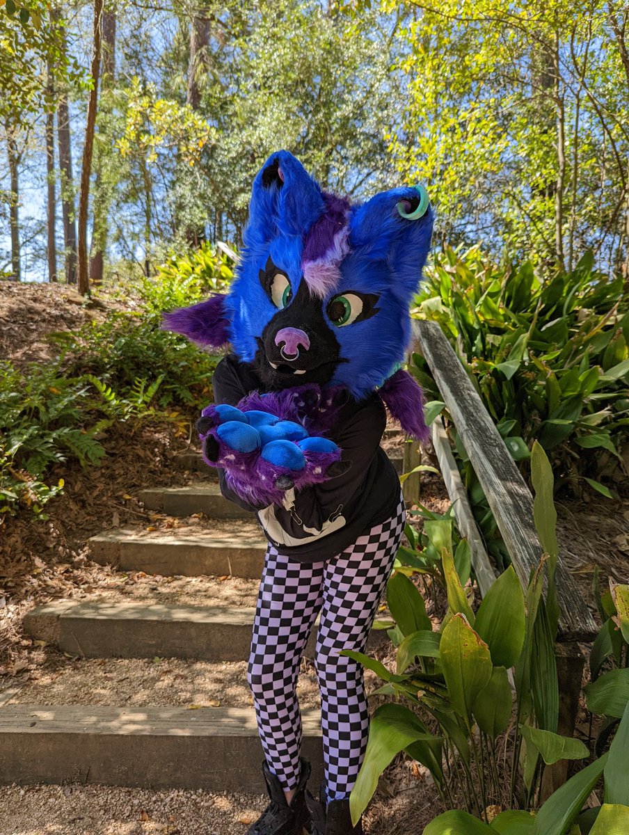 💜Anya Travelr🦊 (@wildbunnies93) on Twitter photo 