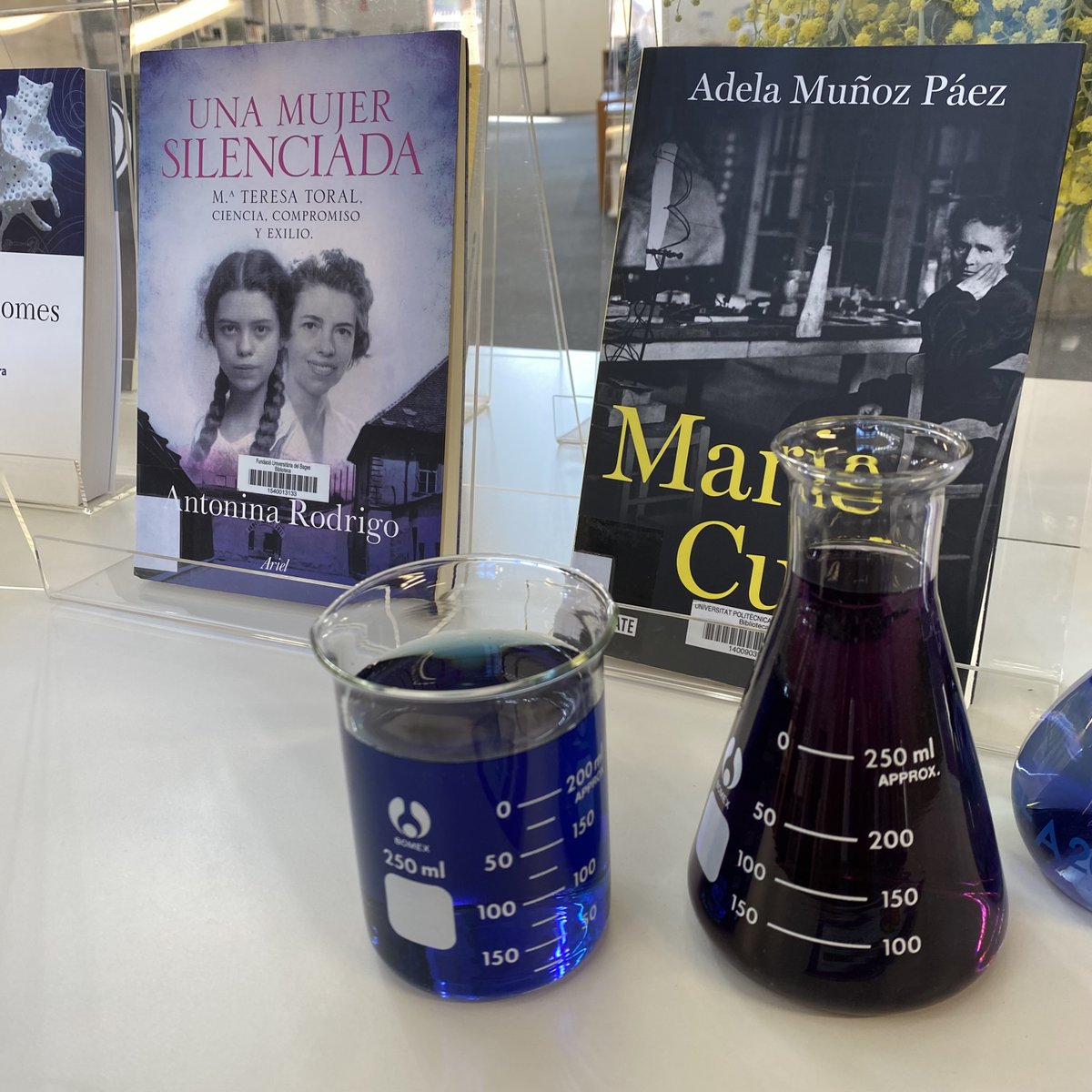 BibliotecaBCUM's tweet photo. Nosaltres avui també commemorem el #Diadeladonailaciencia #bcum #bibliotecabcum #11F2023 https://t.co/N9GmmqVILE