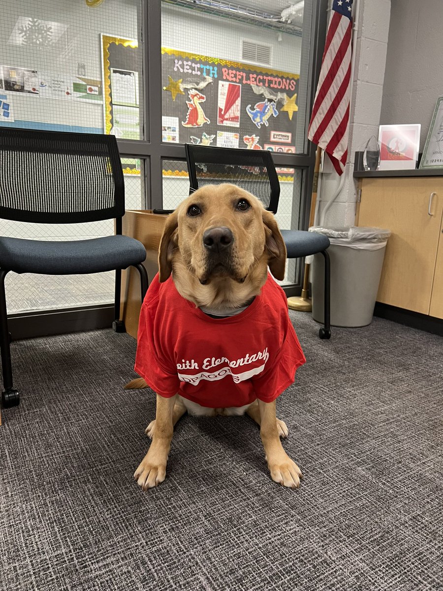 Willow- Keith Therapy Dog (@dragondogwillow) on Twitter photo I’m ready for spirit day <a href="/KeithElementary/">Keith Elementary</a> <a href="/MarciAugenstein/">Marci Augenstein</a> <a href="/WlcsdD/">WLCSD Therapy Dogs</a> <a href="/WalledLkSchools/">Walled Lake Schools</a> I’m ready for spirit day <a href="/KeithElementary/">Keith Elementary</a> <a href="/MarciAugenstein/">Marci Augenstein</a> <a href="/WlcsdD/">WLCSD Therapy Dogs</a> <a href="/WalledLkSchools/">Walled Lake Schools</a>
