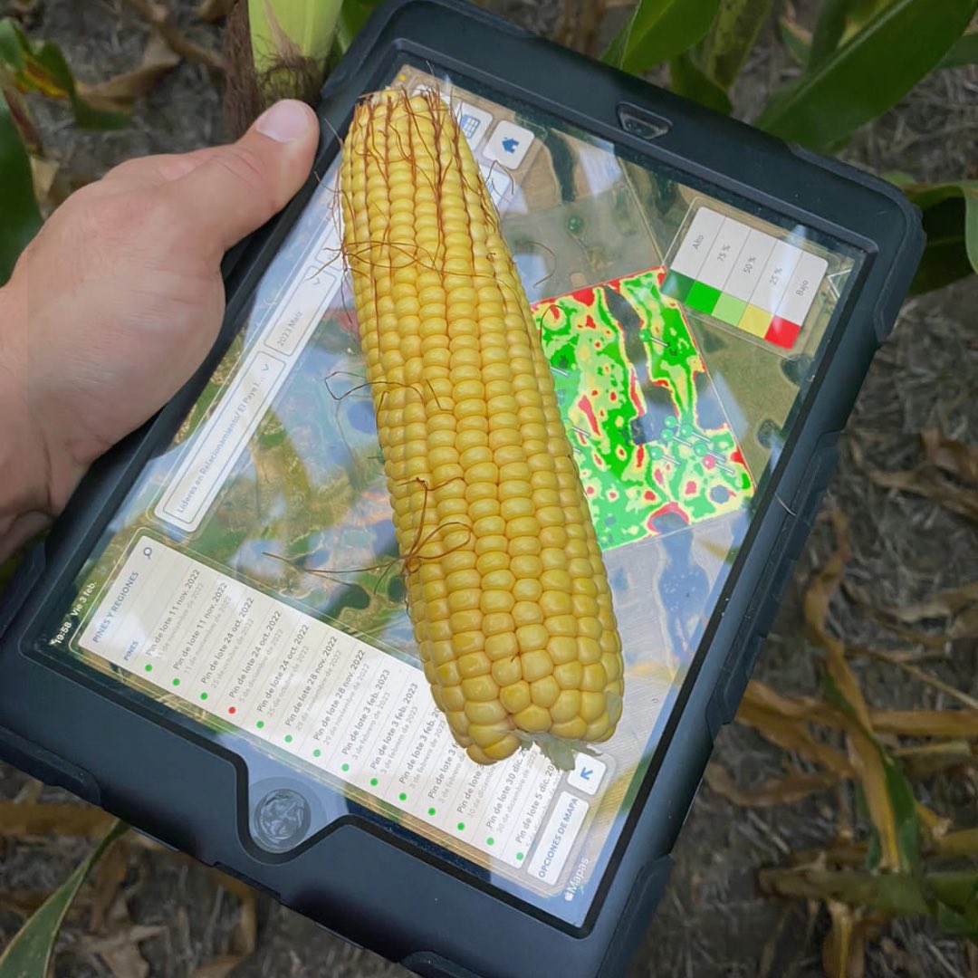 ElPayeSA's tweet photo. ¿Necesitás ser más eficiente al momento de monitorear tus lotes?
En El Payé utilizamos #ClimateFieldView, la plataforma de agricultura digital de Bayer donde podrás integrar todos los datos relativos a la productividad de tus lotes. https://t.co/pb0NJWGeu3