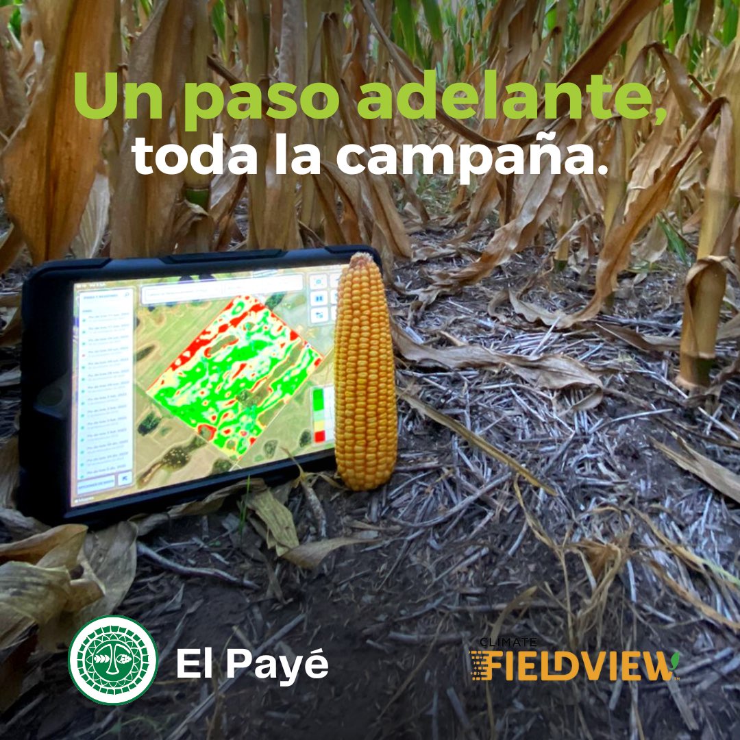ElPayeSA's tweet photo. ¿Necesitás ser más eficiente al momento de monitorear tus lotes?
En El Payé utilizamos #ClimateFieldView, la plataforma de agricultura digital de Bayer donde podrás integrar todos los datos relativos a la productividad de tus lotes. https://t.co/pb0NJWGeu3