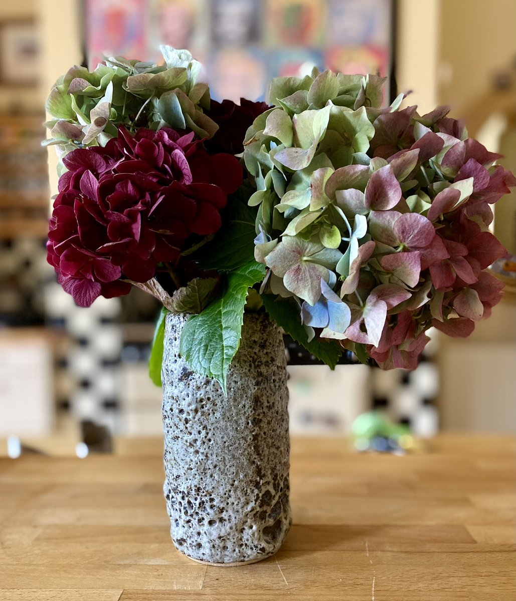 jillreidy's tweet photo. @365_in_2023 #365in2023dailyprompt #365in2023 #floralis I LOVE flowers, especially from the garden. The hydrangeas are from a patch that has 4 different colour blooms. #flowersinthekitchen https://t.co/eYjnqi221h