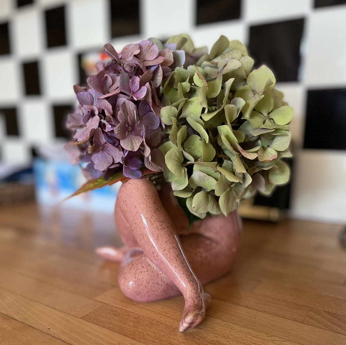 jillreidy's tweet photo. @365_in_2023 #365in2023dailyprompt #365in2023 #floralis I LOVE flowers, especially from the garden. The hydrangeas are from a patch that has 4 different colour blooms. #flowersinthekitchen https://t.co/eYjnqi221h
