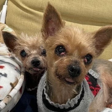 ScituateAnimalSheltr (@ScituateAnimalS) / Twitter ScituateAnimalSheltr (@ScituateAnimalS) / Twitter