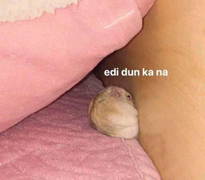 kaybearsw's tweet photo. FILO SHHDS KAYA PA BA HAHAHAHA https://t.co/Us7rxAJn4a