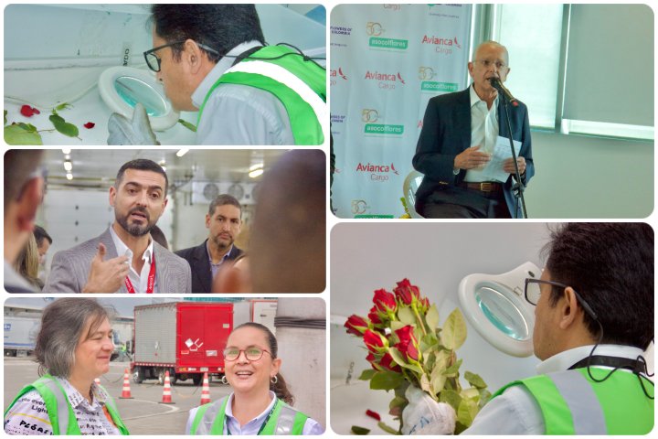 ICACOLOMBIA's tweet photo. 📰  #Noticias ICA | En #SanValentin, las flores colombianas inundan los mercados del mundo, entregando grandes resultados para este importante sector.

Ver más 👇 🧑‍💻

https://t.co/J8mdSKy2Bj https://t.co/WqADtm0mp8