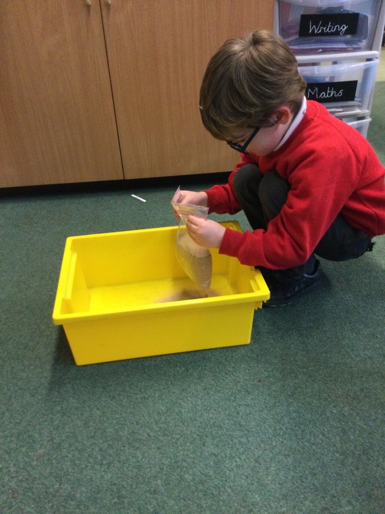 StrettonStMatts's tweet photo. The Eco Council loved putting together our aquaponic system and learning about how it works. We can’t wait to grow our very own zero waste foods and learn more about sustainability. @FarmUrbanUK #ssmeco #ssmgeography #ssm https://t.co/bJPnDM5LYh