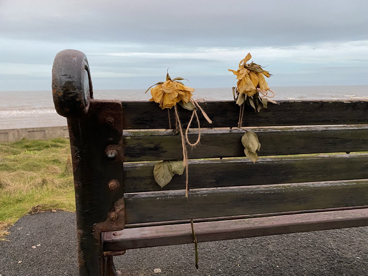 jillreidy's tweet photo. @365_in_2023 #365in2023 #365in2023dailyprompt #floralis Living where I do there are often memorial flowers left on benches overlooking the sea. Reading the cards and notes left with them is always sad and poignant😢 https://t.co/wcUEpHOwQP