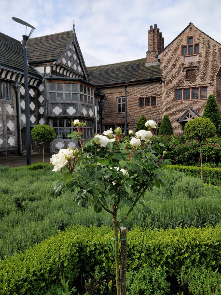 SalfordLeisure's tweet photo. Come and join us in the @OrdsallHall gardens tomorrow from 1pm for our #RosePruning Workshop!
Learn the essential horticultural principles & methods of pruning roses to keep your plants healthy & flowering beautifully.
£10, booking required.
Book now 👇
https://t.co/4vam68wlWd https://t.co/DJZxyWnQVY