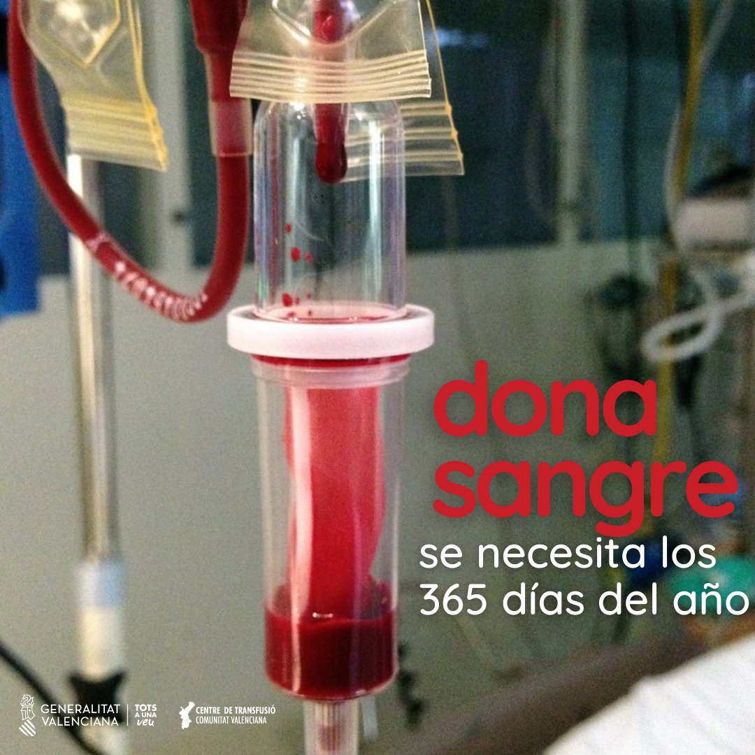 GVAdonasang's tweet photo. 🏥 Los hospitales de la Comunitat Valenciana necesitan 650 donaciones diarias.
✔️Tratamientos oncológicos, intervenciones quirúrgicas, trasplantes... son posibles gracias a tu #generosidad.

📍Busca un punto de donación y #CompateVida ❤
🔗 https://t.co/4TMGbwfpWO https://t.co/PWwGjBKtkc