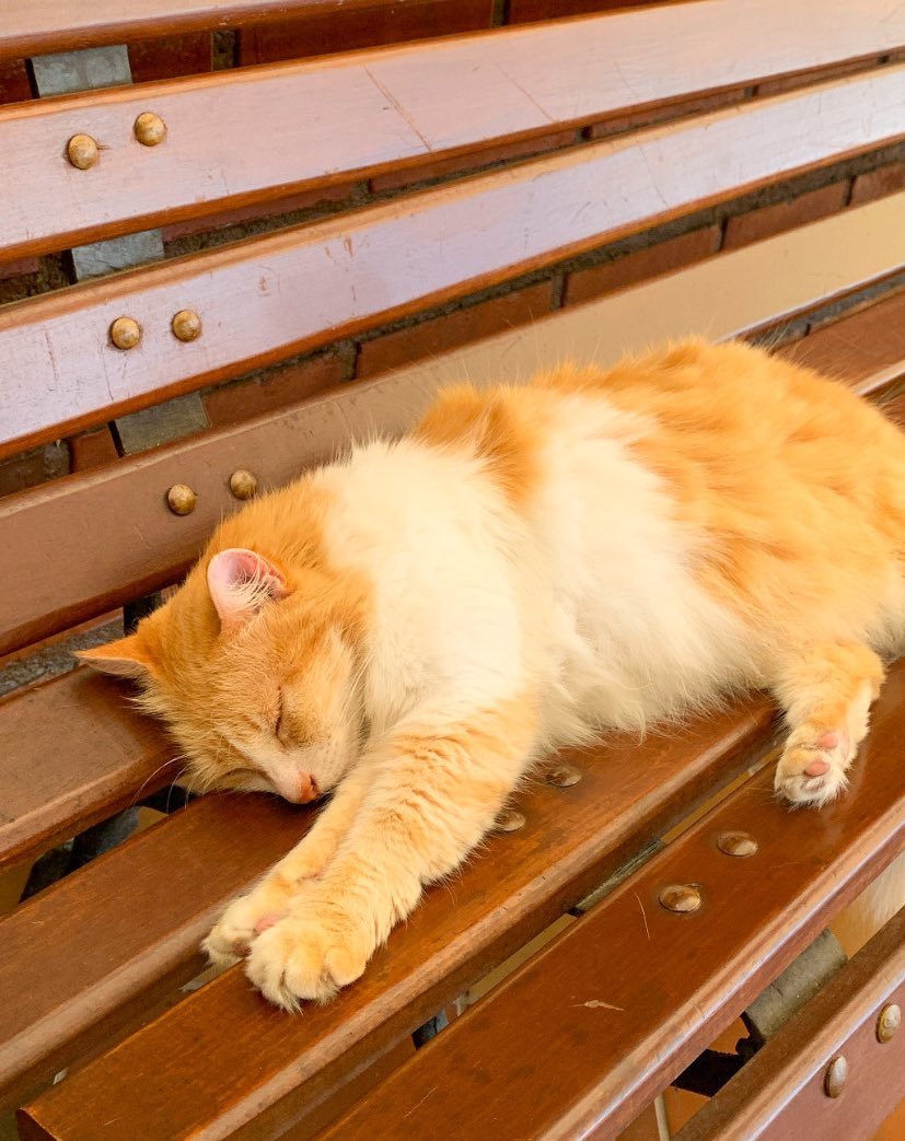 Unefina ✨ (@FaculdadeUnef)  X