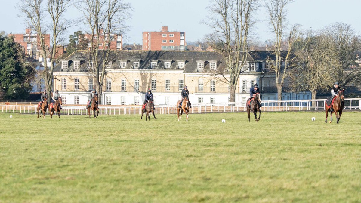 ahaynesracing's tweet photo. Click now for the February news update for the team! #AHracing
https://t.co/NtdQ1eCWDs https://t.co/b5gkrKNgjA