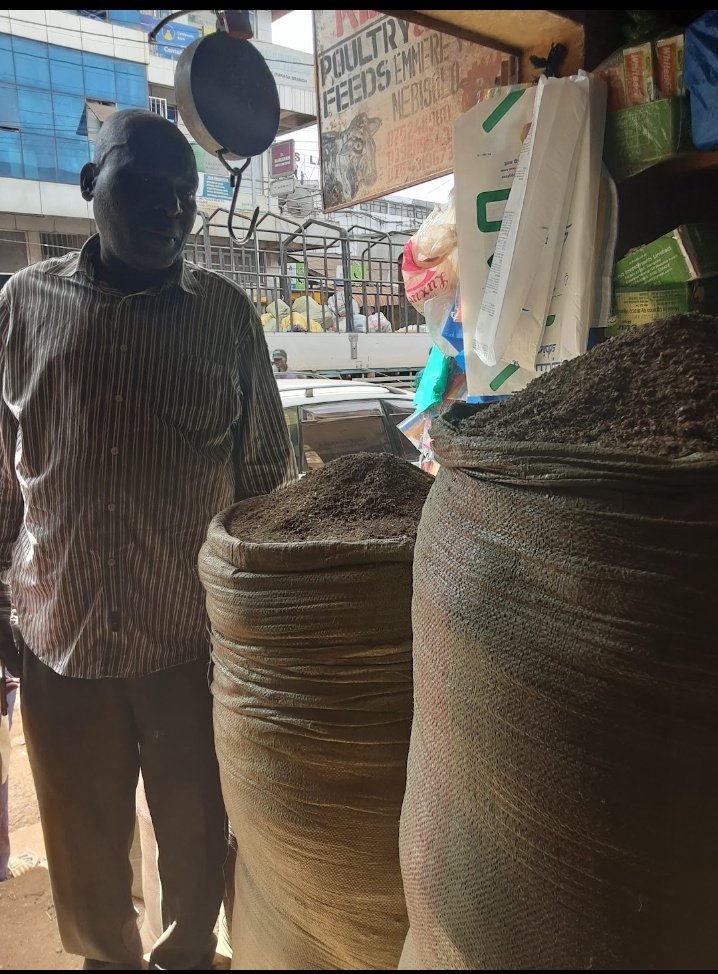 JumpstartAfric's tweet photo. As @JumpstartAfric we're honored to see our client prospering..he can now supply poultry feeds to all poultry farmers around him π€He made use of our micro-credit services. Starting up a poultry feed business is a lucrative idea for anyone planning to own a business. #YouTooCan https://t.co/Ip09VvDCeL