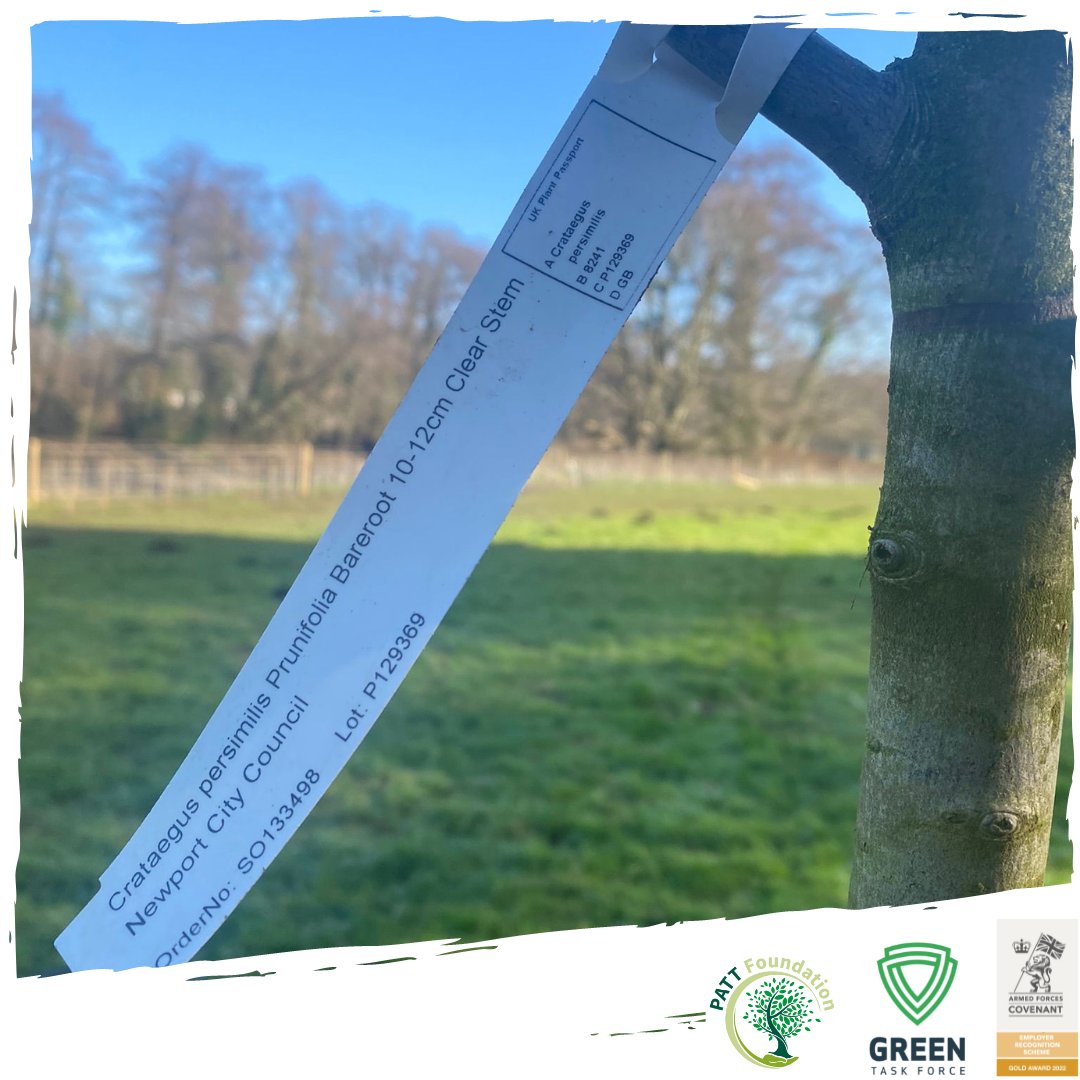 GreenTaskForce1's tweet photo. The @GreenTaskForce1 (Wales) team have been busy lately.
Here are some fantastic pictures of a Habitat creation project the team undertook.
#GreenTaskForce #PattFoundation #conservation #treeplanting #employment #veteranshelpingveterans #veteranemployment #woodlandmanagment https://t.co/rKrvJxO1VD