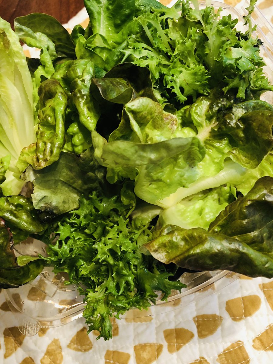 GetBlok Farms tweet media