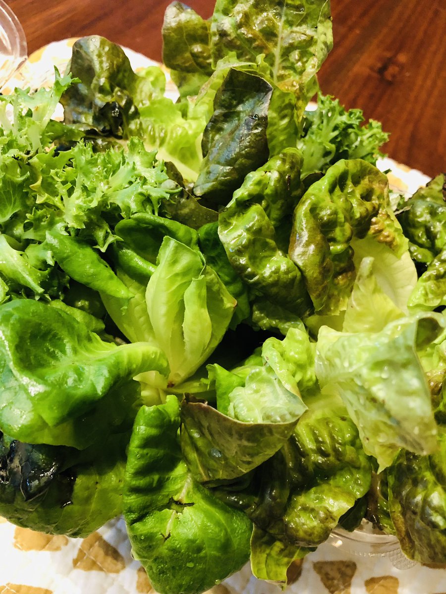 GetBlok Farms tweet media