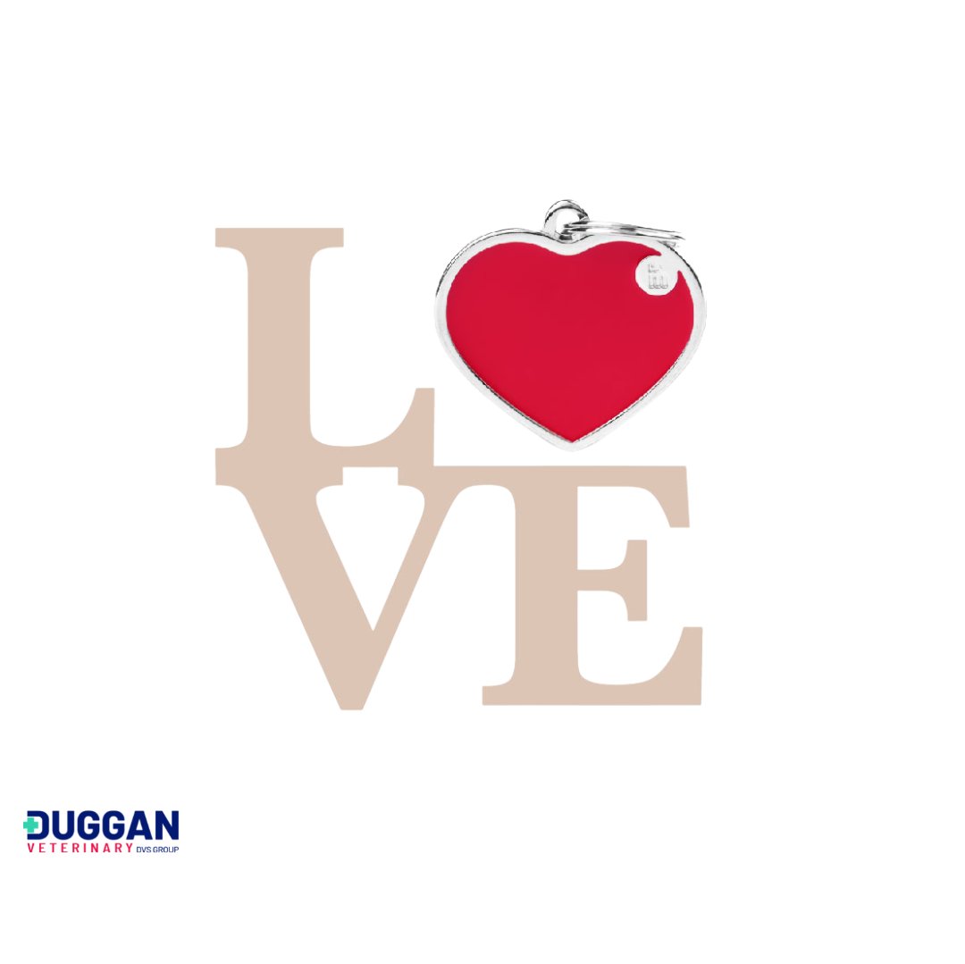 dugganvet's tweet image. Love is in the air!
How could you not love these MyFamily collar tags as we gear up for St. Valentines Day. Talk to us today about installing a Techla machine, and offer these loved-up tags, long with many more,  to your customers

☎️ 0504 43169
✉️ sales@dugganvet.ie

#tagmachine