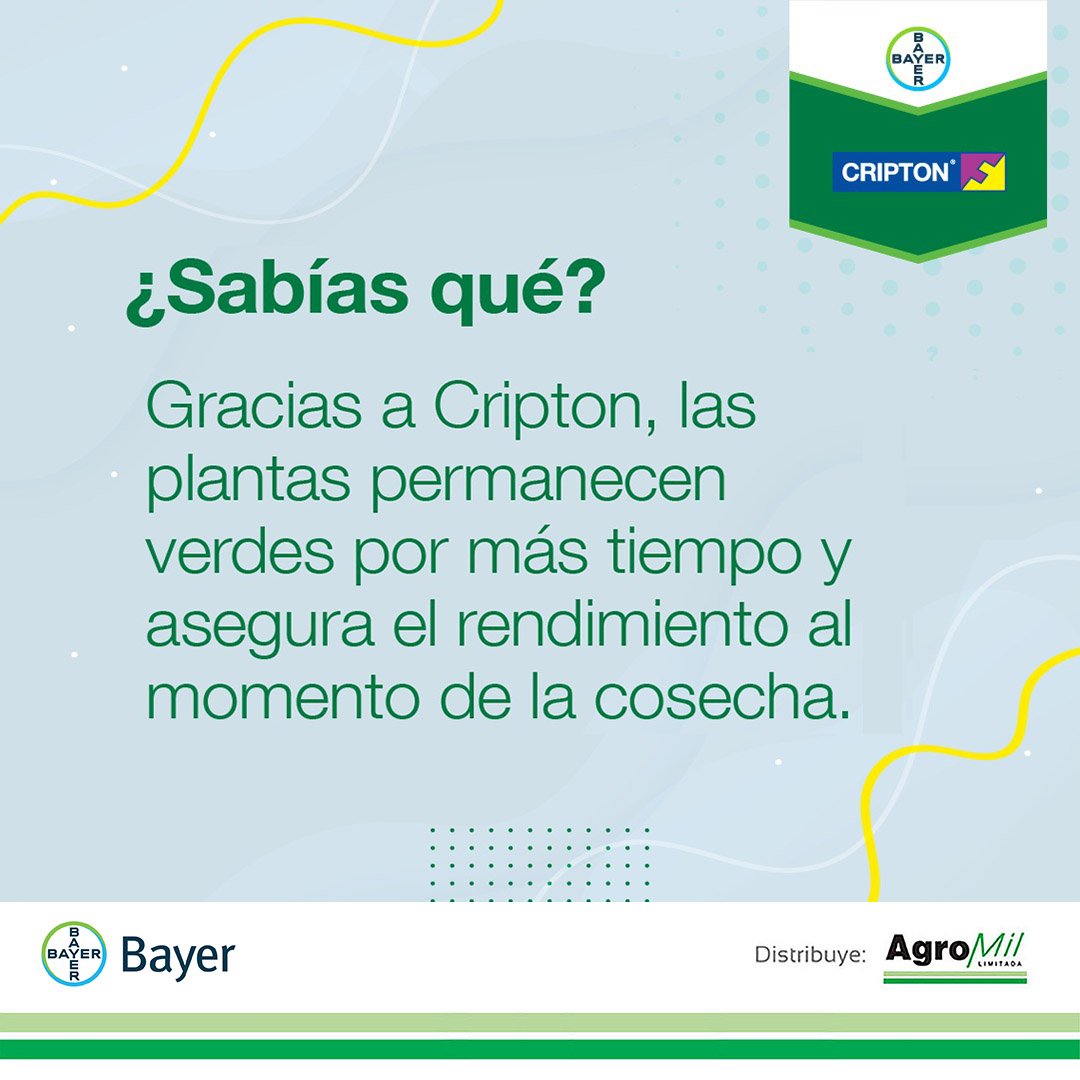 agromil_ltda's tweet photo. Con #BayerCripton cuidás de tu cultivo 🌱 y también del ambiente porque es Banda Verde. ♻️ ¡Cripton, el fungicida que más te conviene! 💬 Escribinos por mayor información.
#FungicidaFoliar #BayerAgro https://t.co/jRfIKJD9Oe