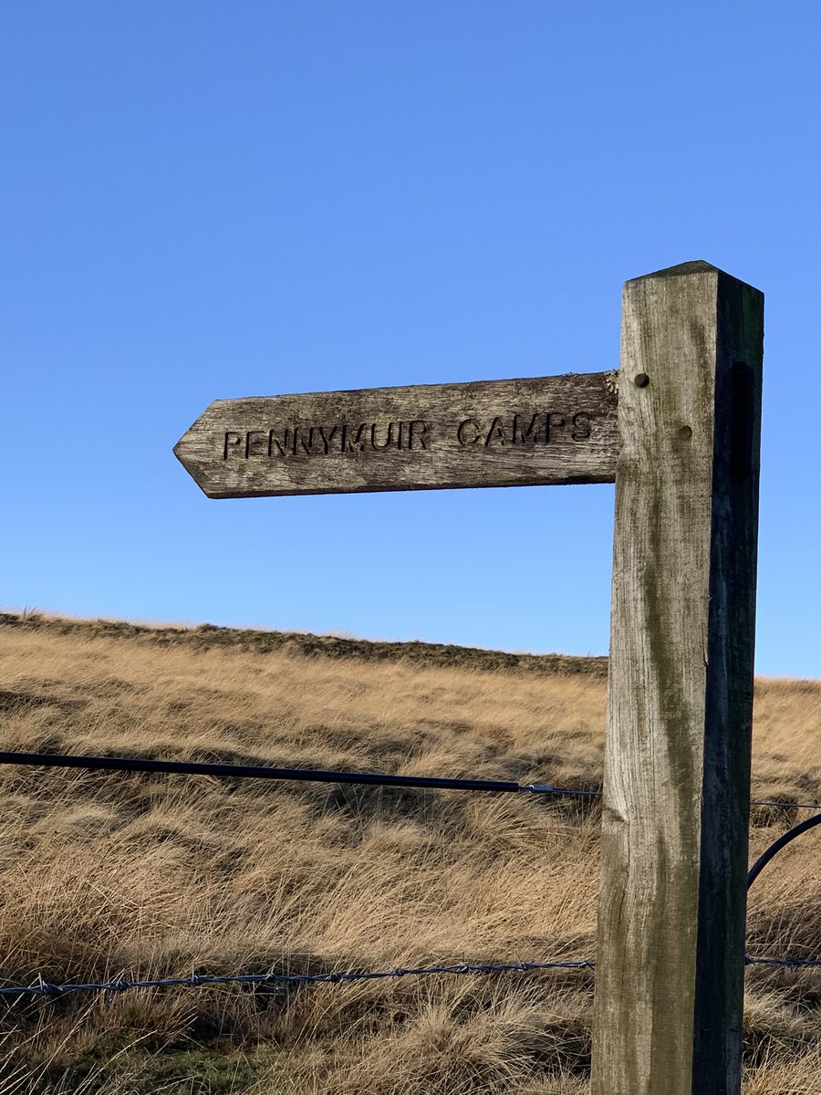 christine gow tweet media