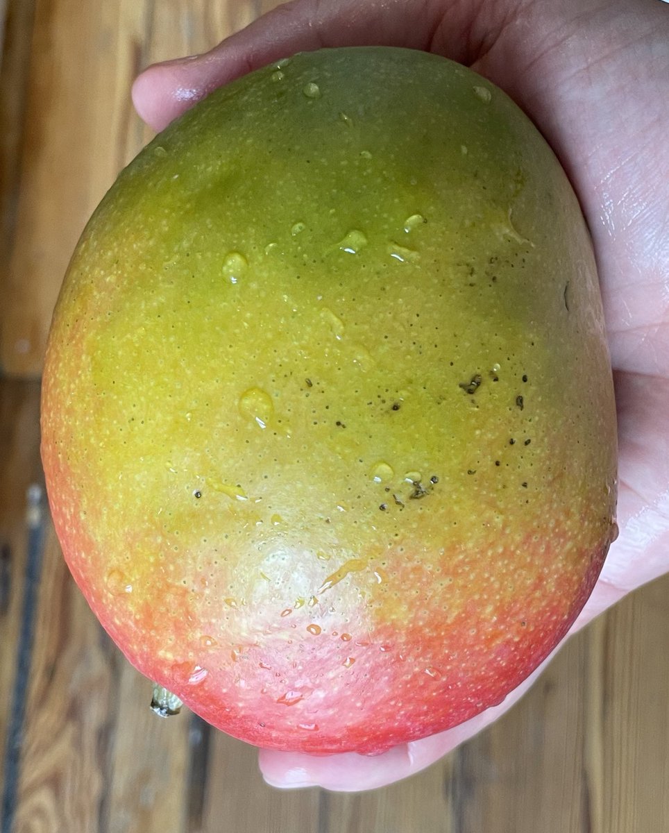 Jon Armenta tweet media