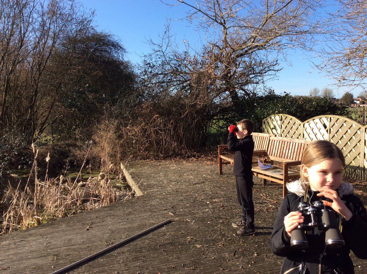 NectonY2's tweet image. Maple class enjoyed helping out with the annual RSPB Big Schools' Bird Watch. Our local buzzards even made an appearance for the count. #nectonloveswildlife @Natures_Voice @RSPBEngland @RSPBbirders @NectonPrimary