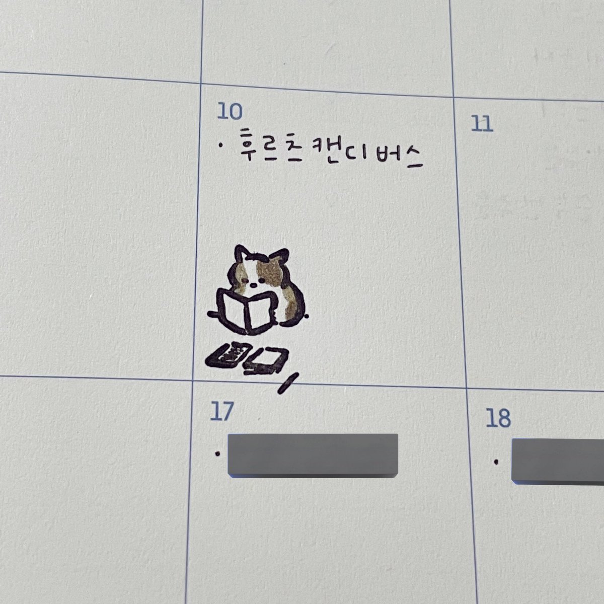 노낫네버 도장도 도착했다! 친구가 나 같다고 한 나무랑 노리고 있던 고양이 책 읽은 날마다 콩콩 찍어둘 예정 📖