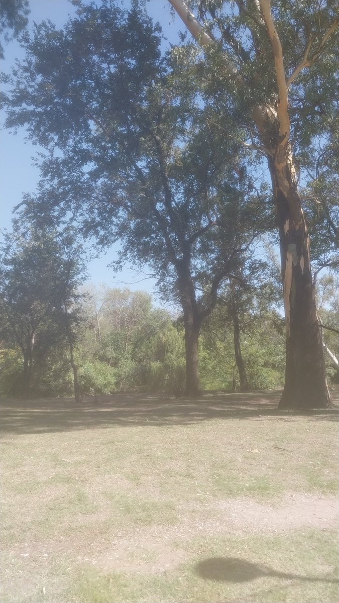 CEciliaBassign2's tweet photo. Correr y correr https://t.co/ge4OHH0eD6