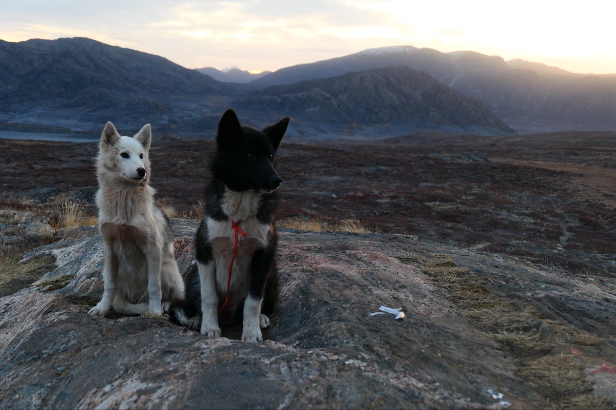 andy_fell's tweet photo. @armslengthal @MannGeorgia @BBCRadio3 Greenland 2019…extraordinary memories. https://t.co/vWD24iwkb5