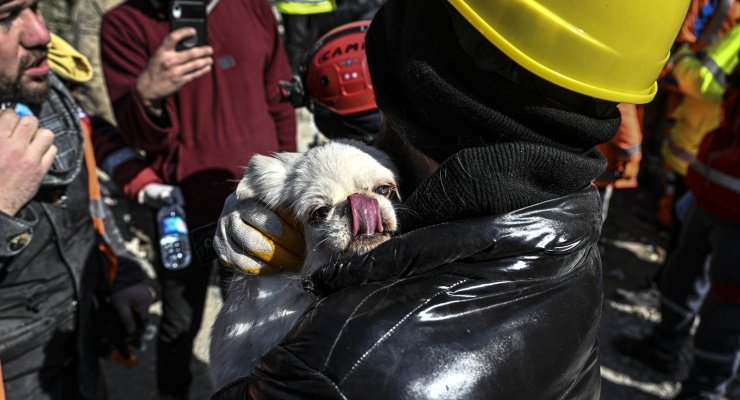 🐶103 saat sonra "Sesimi duyan var mı" çağrısına havlayarak yanıt veren Venüs ve sahibi kurtarıldı.♥️