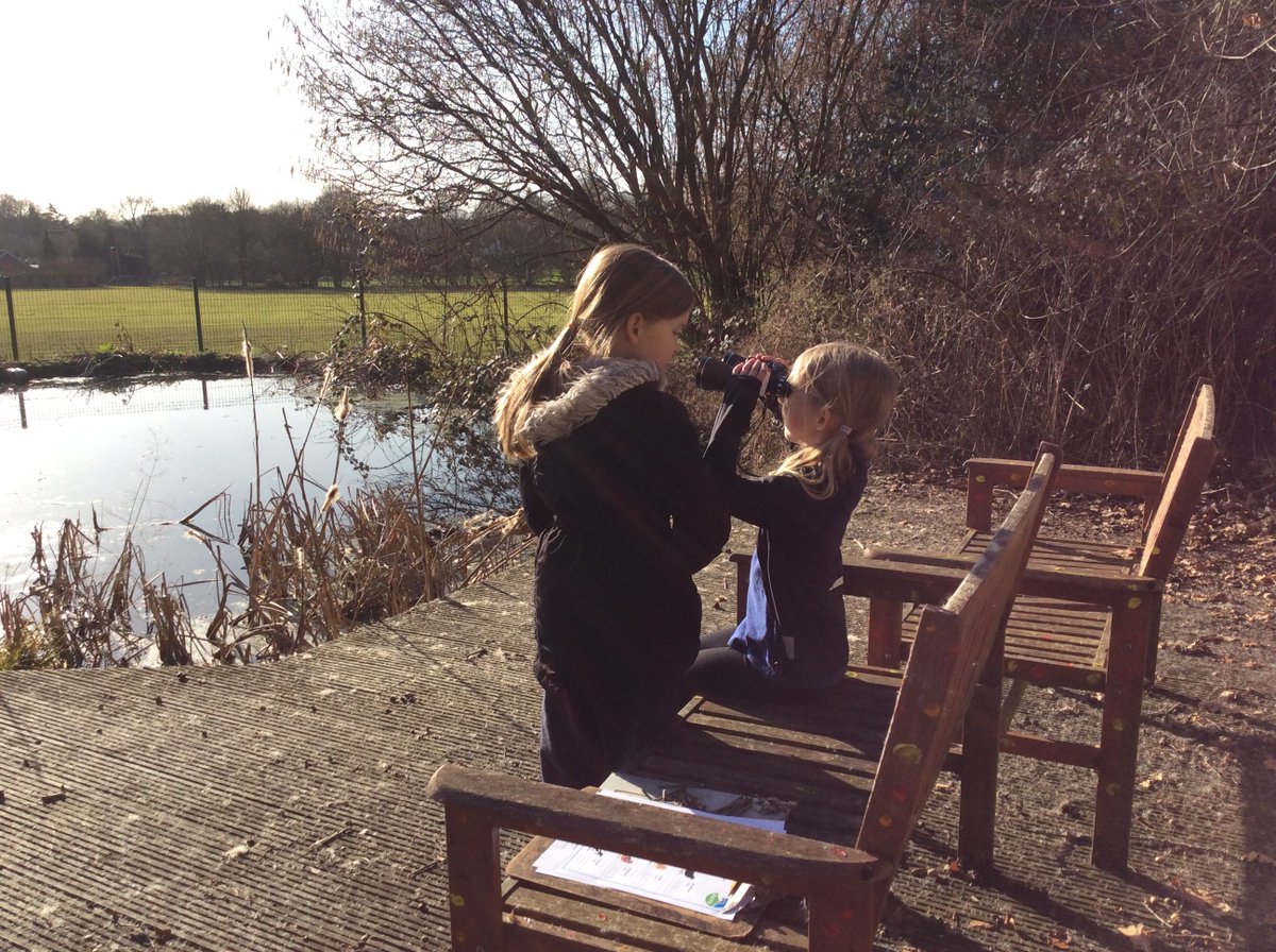NectonY2's tweet image. Maple class enjoyed helping out with the annual RSPB Big Schools' Bird Watch. Our local buzzards even made an appearance for the count. #nectonloveswildlife @Natures_Voice @RSPBEngland @RSPBbirders @NectonPrimary