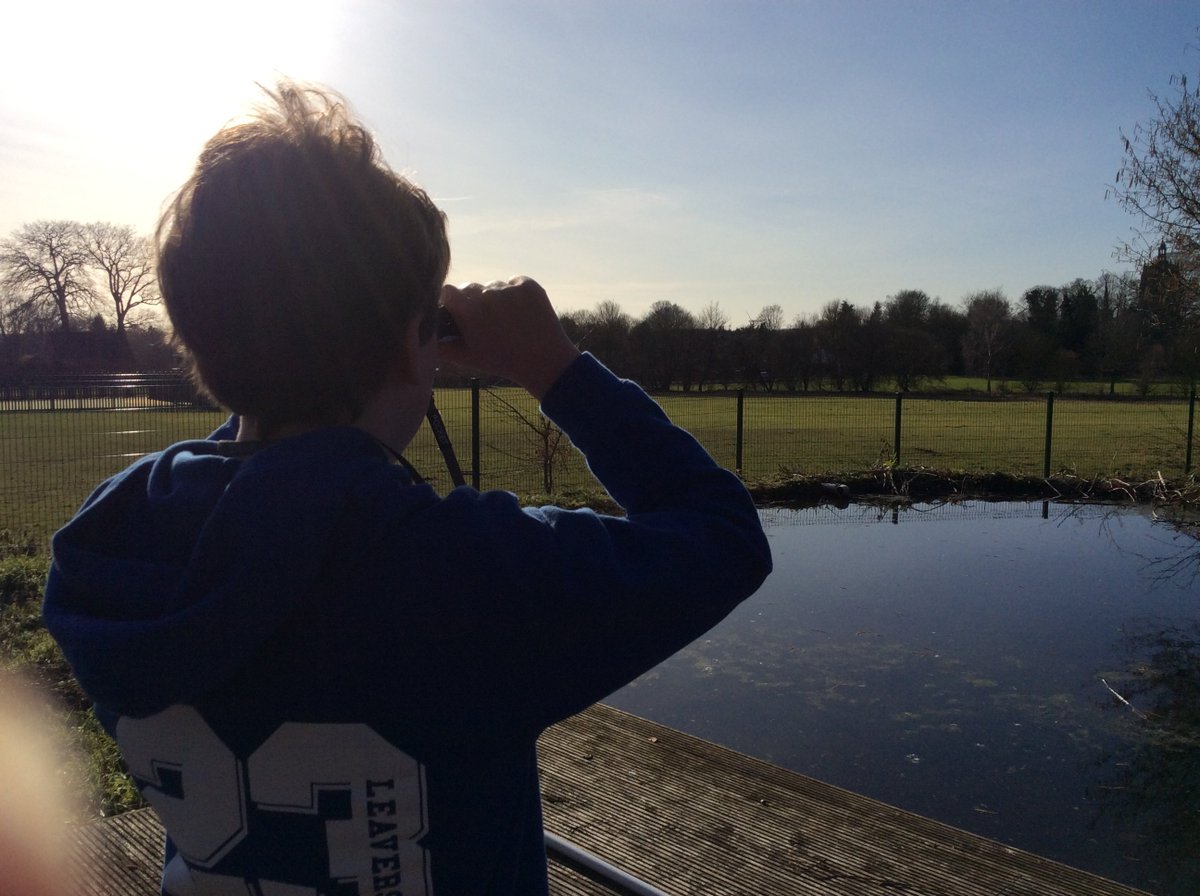 NectonY2's tweet image. Maple class enjoyed helping out with the annual RSPB Big Schools' Bird Watch. Our local buzzards even made an appearance for the count. #nectonloveswildlife @Natures_Voice @RSPBEngland @RSPBbirders @NectonPrimary