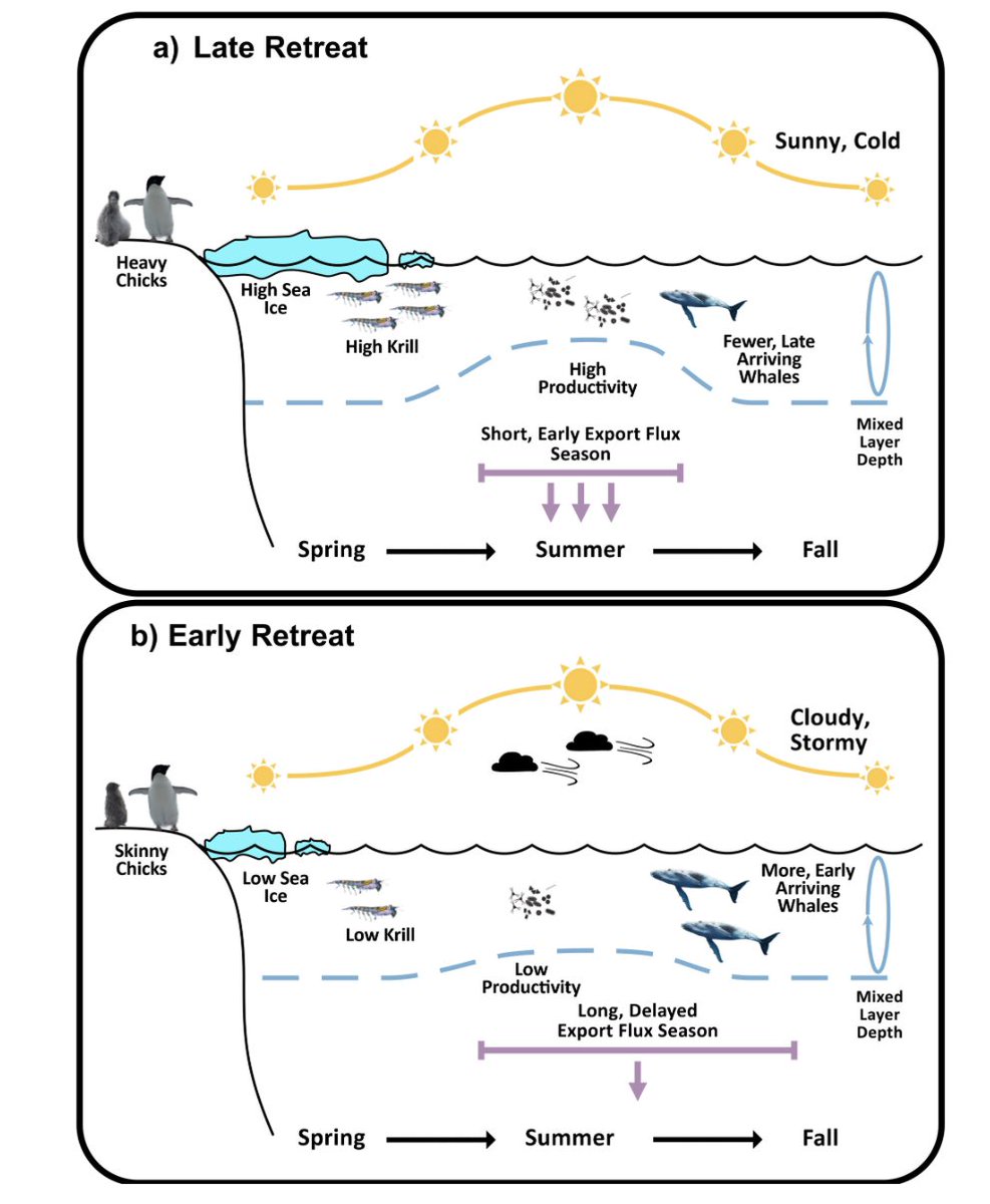 New paper looking at long-term patterns in ecosystem phenology near Palmer Station, Antarctica! 
 dx.doi.org/10.1002/ecs2.4…